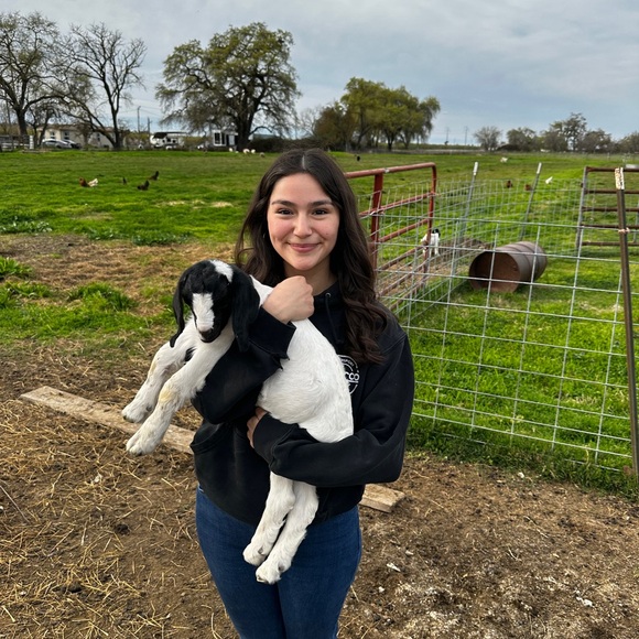 Meet your Posher, Crissy - Picture 3 of 4